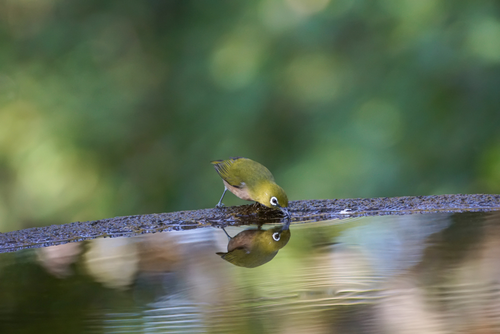 水鏡