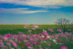 Every second is of infinite value.