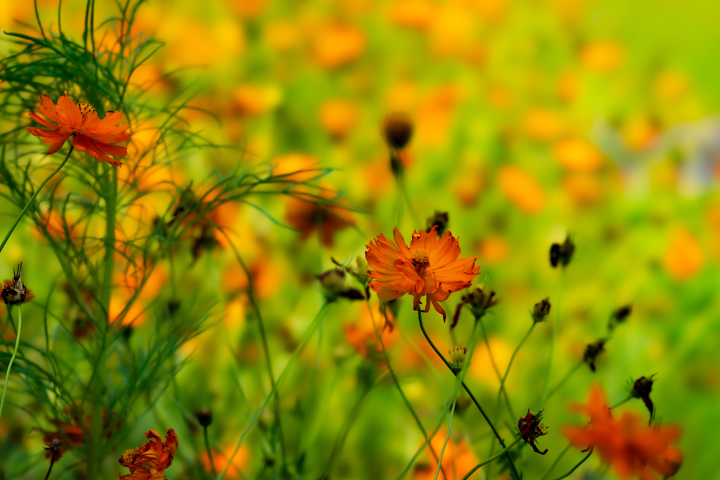 Leaving is easier than being left.