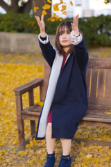 fallen leaves