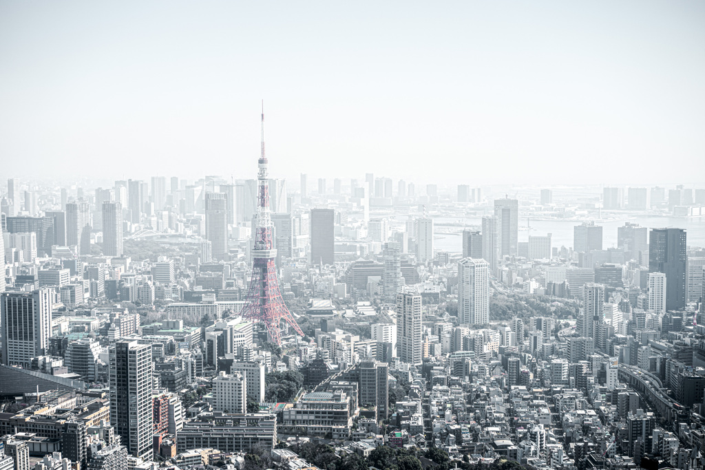 Fear always springs from ignorance.