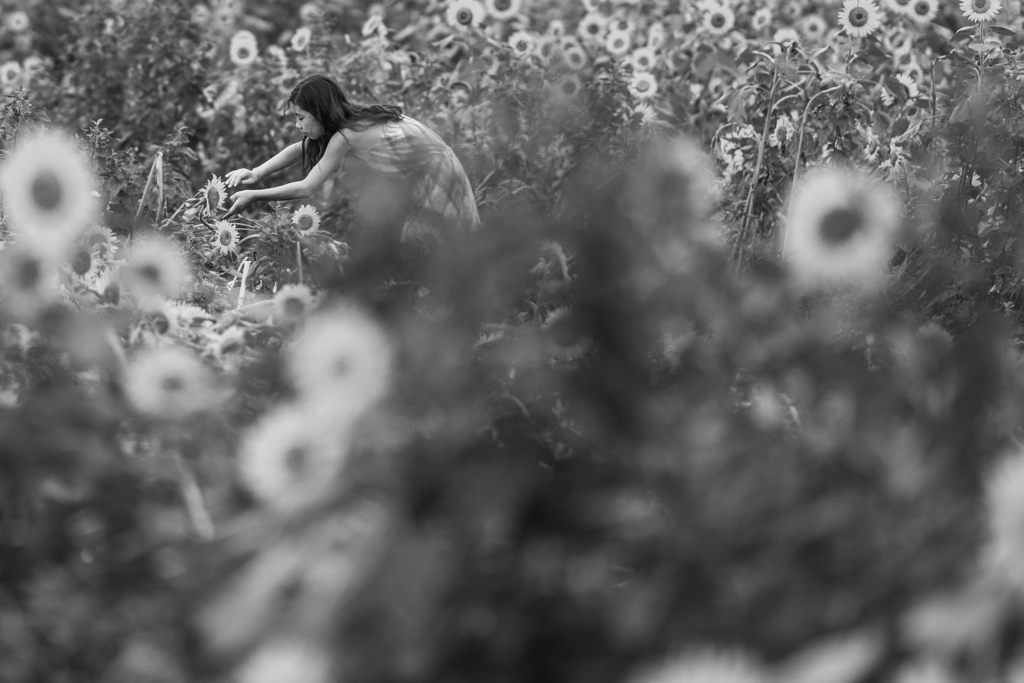 守ってあげたい