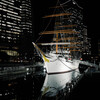 Sail Training Ship NIPPON MARU