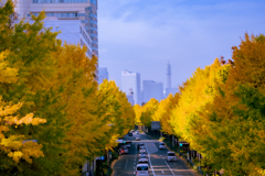 山下公園通り