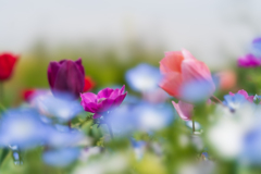 One for all, all for one!