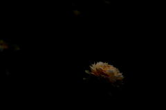 Never, never, never, never give up.