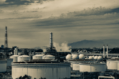 You may be able to fool the voters,