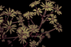  In the absence of a vaccine,