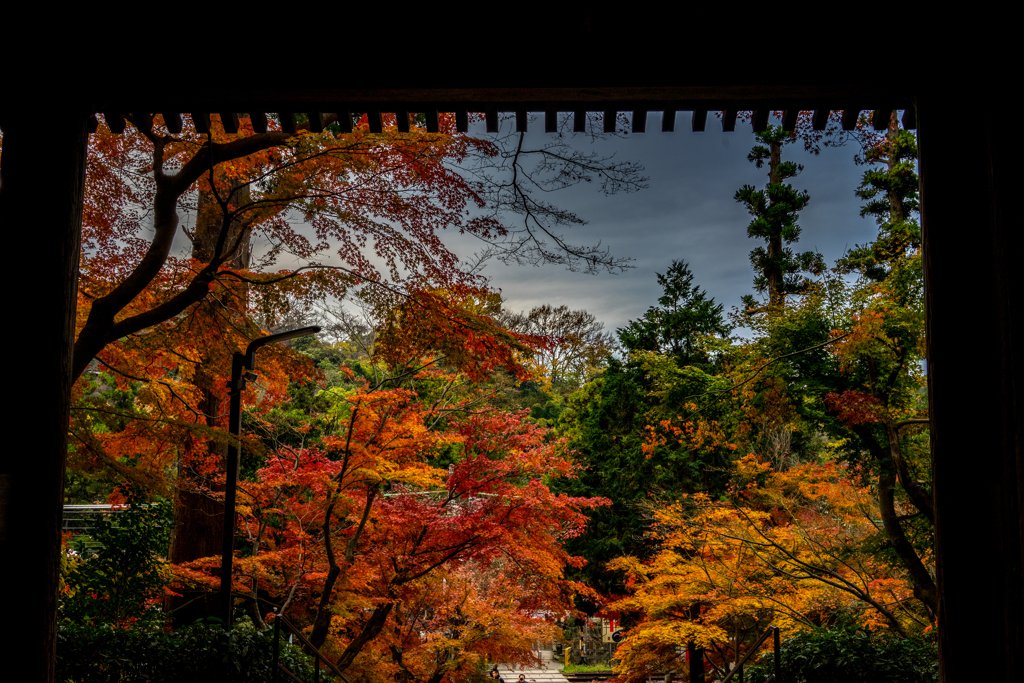 門