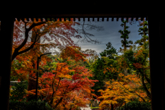 門