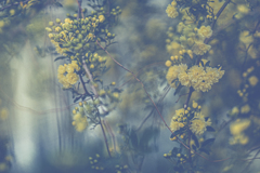 Fear always springs from ignorance.