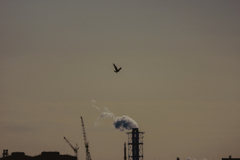 Life is not fair; get used to it.