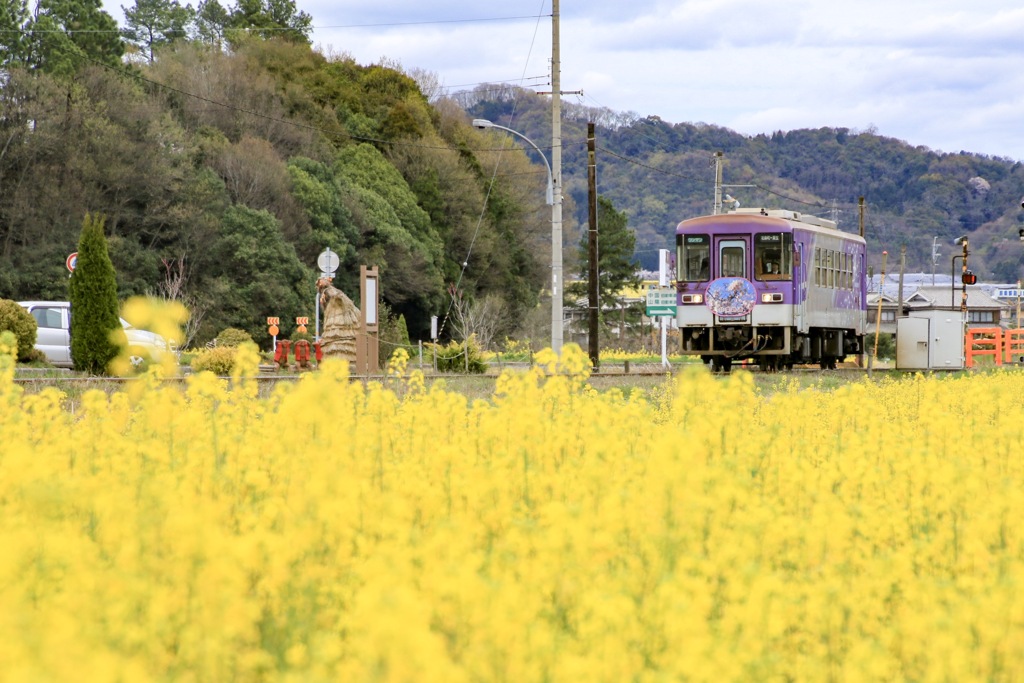 春の北条鉄道