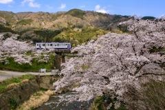 春の関西線笠置駅