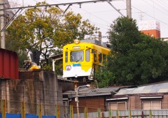 チンチン電車コレクション　2012年11月6日　①