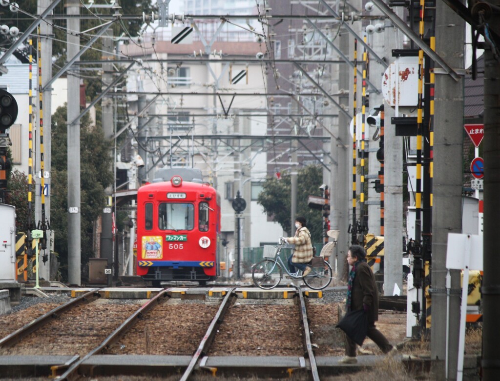 さぁ、渡ろう