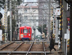 さぁ、渡ろう