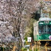 嵐電の春