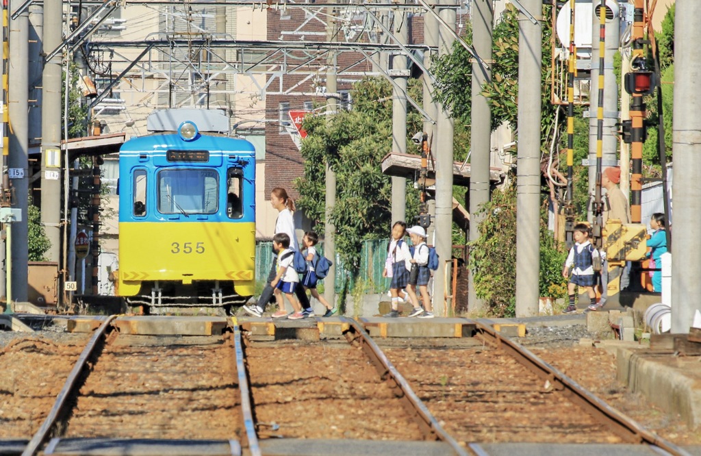 安全を確認、みんなで渡れば怖くない