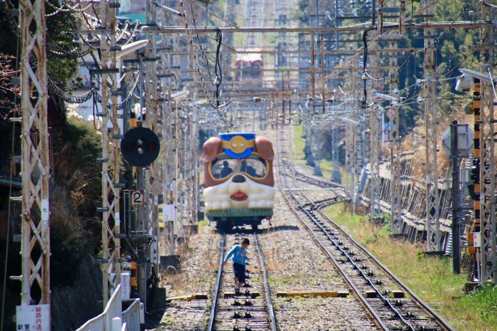 これが日常