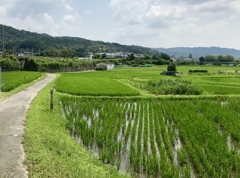 長閑な学研都市線