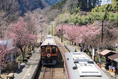 わたらせ渓谷鉄道