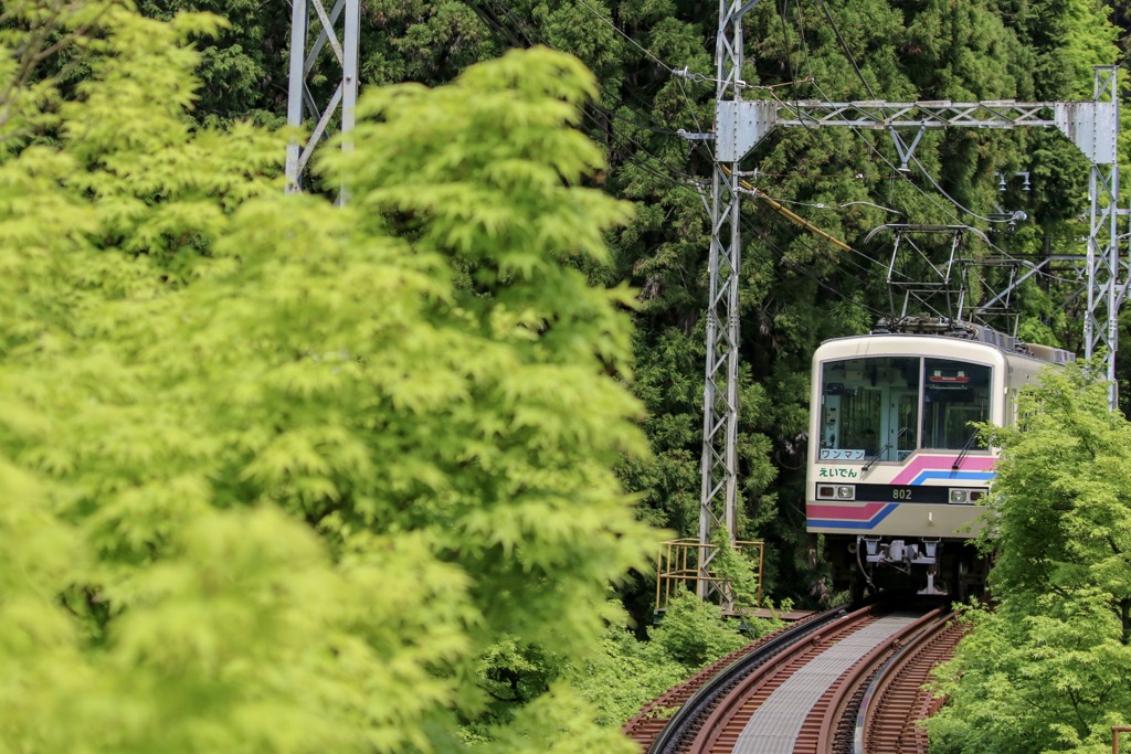 新緑の叡山電車
