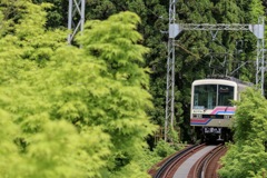 新緑の叡山電車