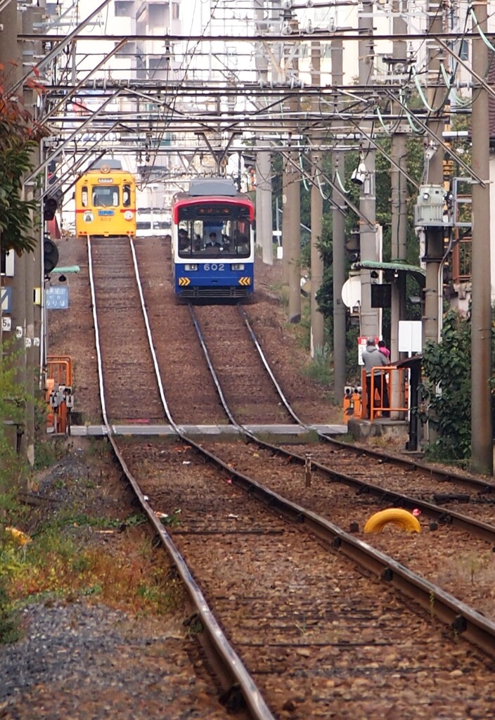 チンチン電車コレクション　2012年11月6日　③