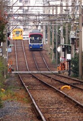 チンチン電車コレクション　2012年11月6日　③
