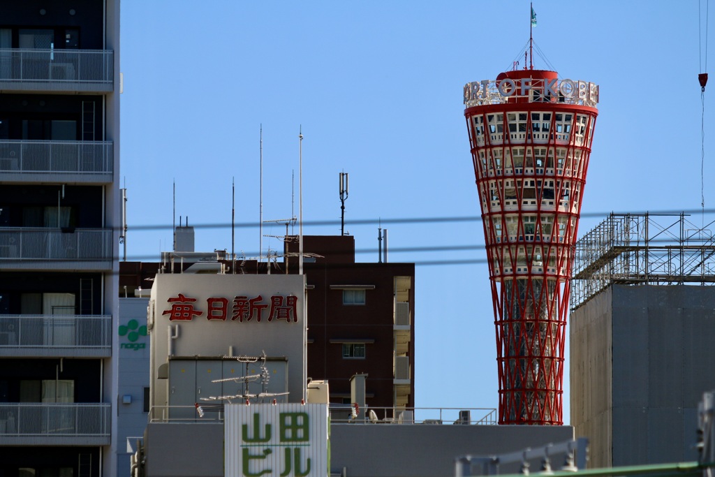 今年で56歳