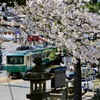 江ノ電桜の季節