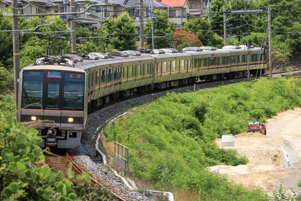 綺麗なカーブ