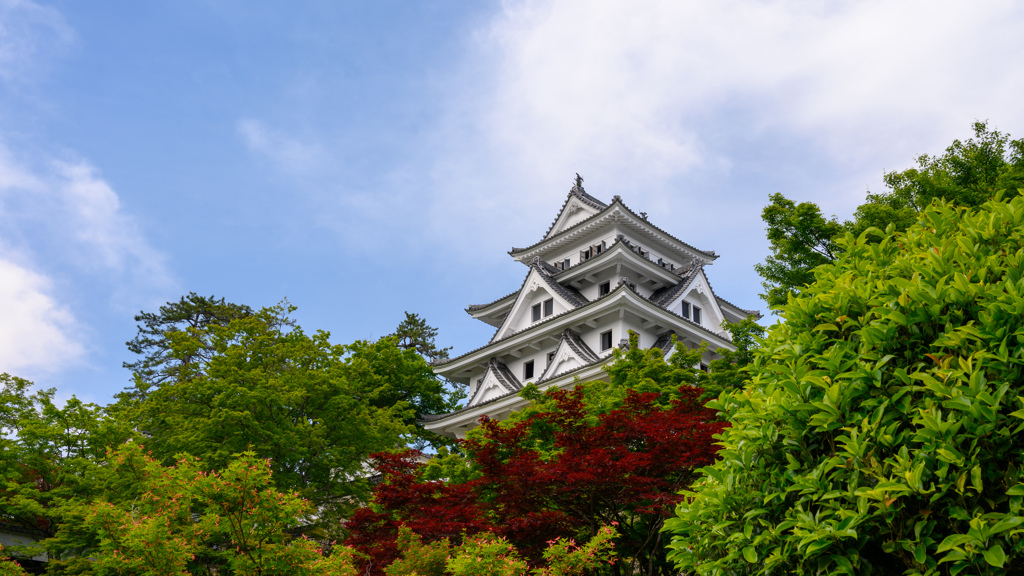 郡上八幡城