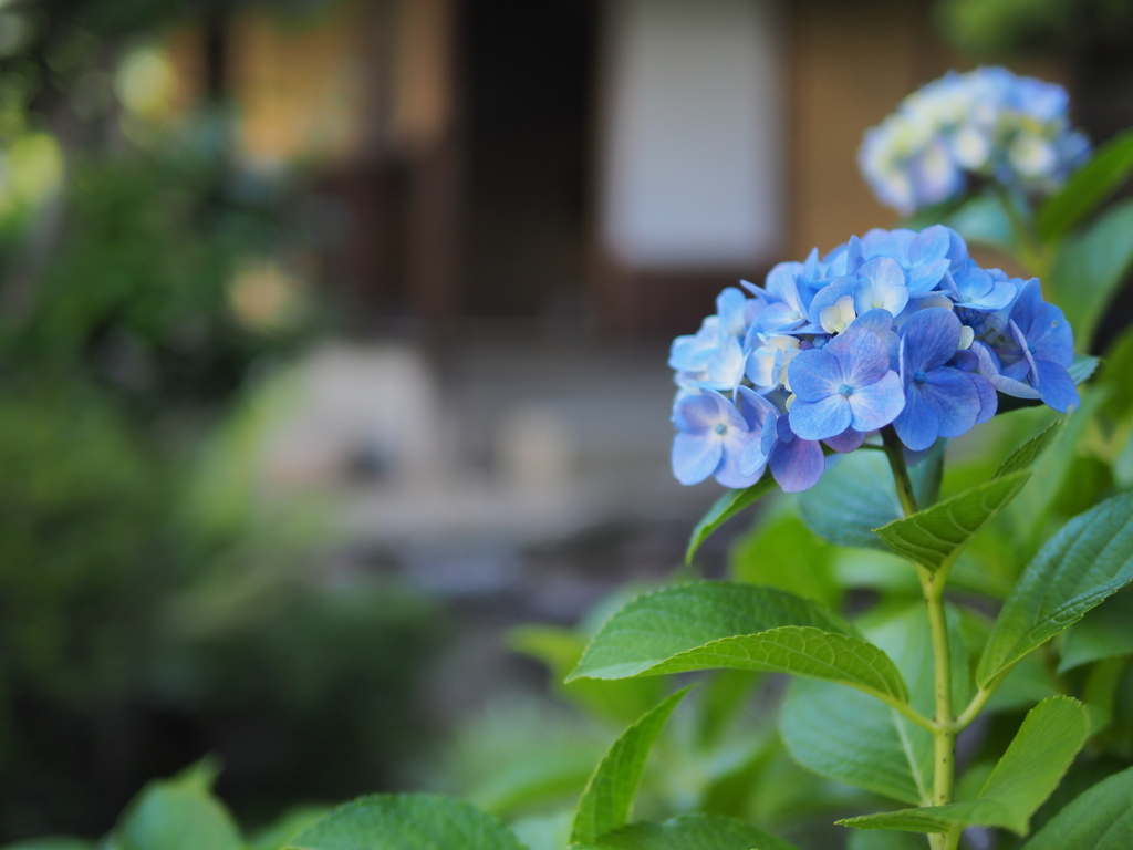 雨恋｡..*✽