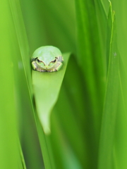 ねぇ・・