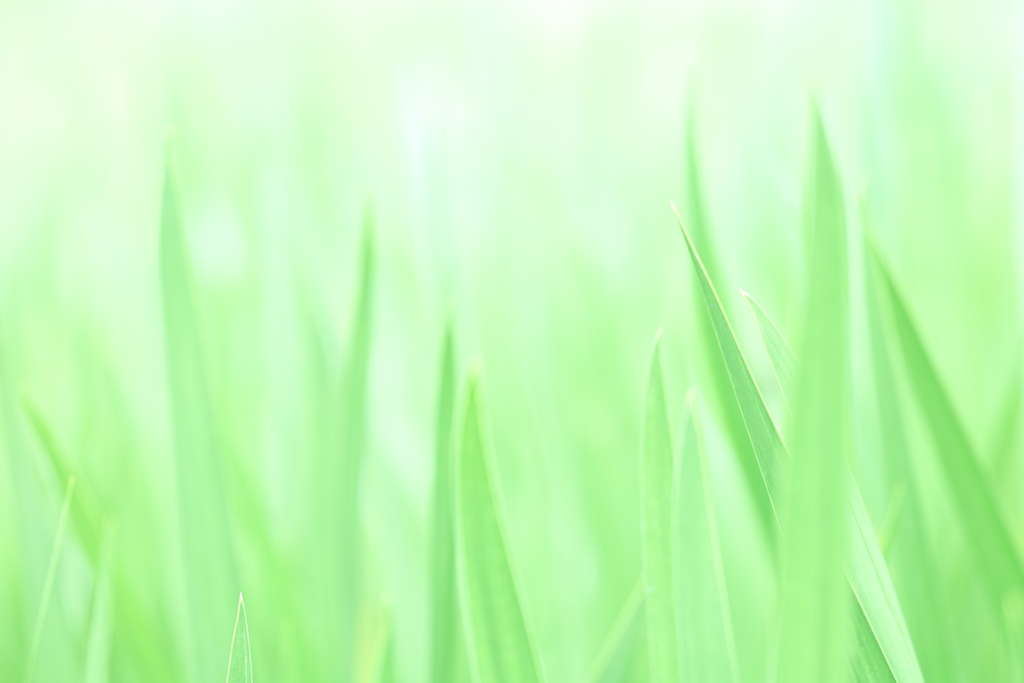 green*:.。