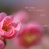 幸せの花