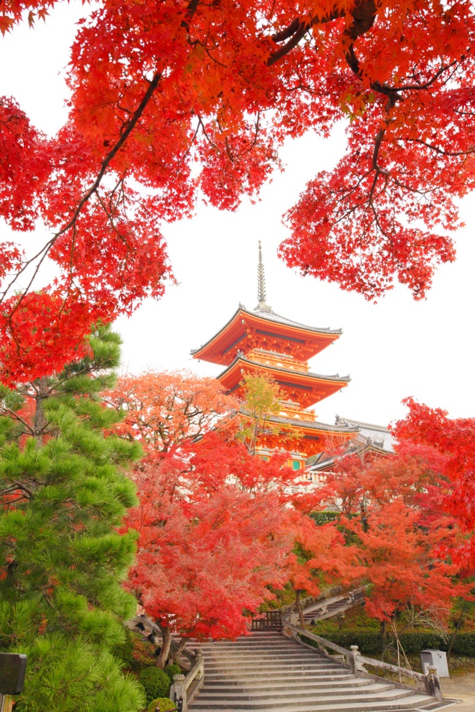 清水寺