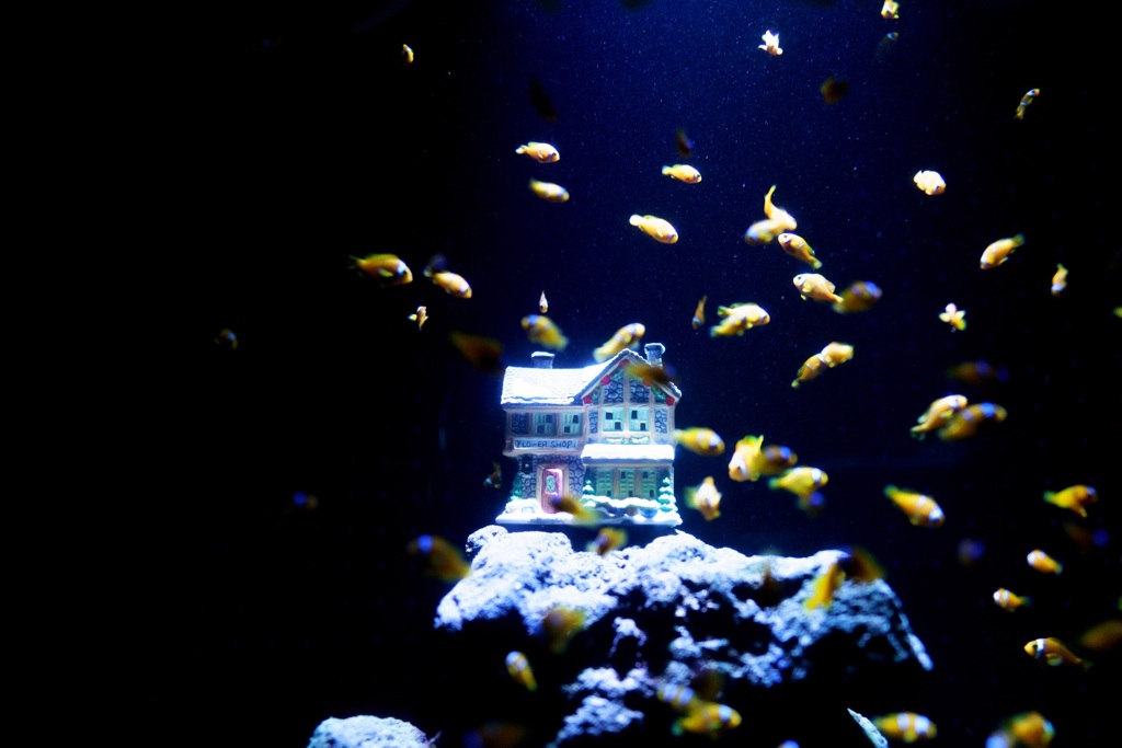 碧南海浜水族館