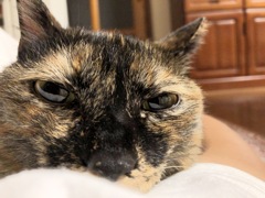 おつかれさま
