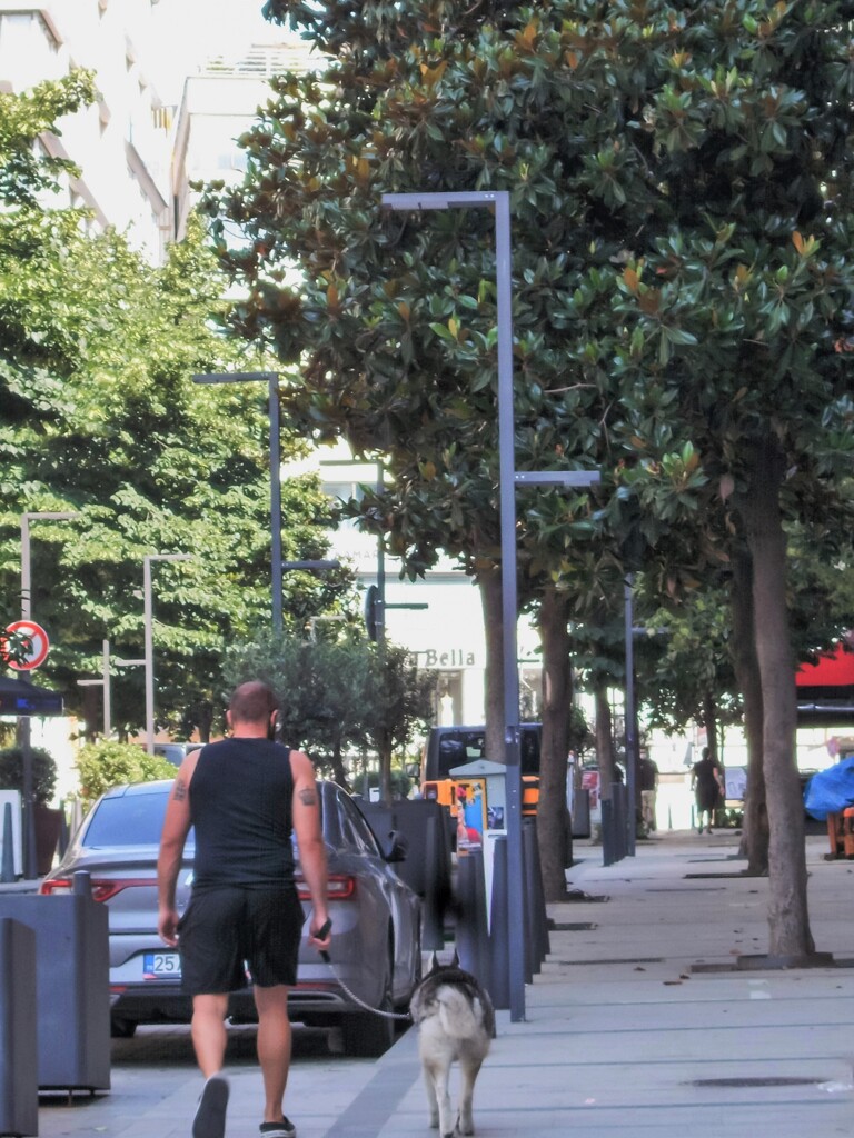 後ろ姿…　男と美しい青い眼をしたハスキー…