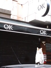 ～Don't worry, be happy～～♪　って