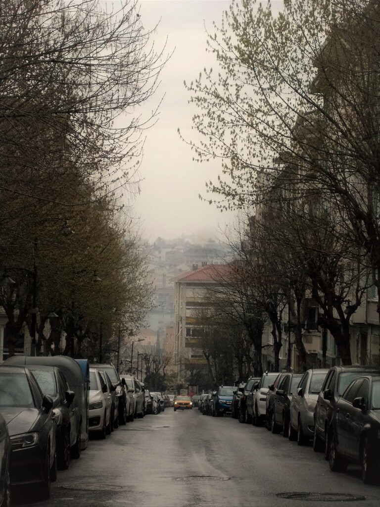 若緑色の雨.。o○～　静かに降る朝～