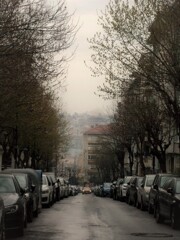 若緑色の雨.。o○～　静かに降る朝～