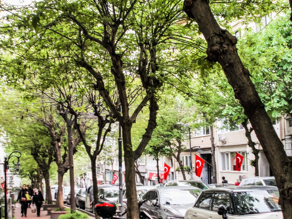 今日は　トルコの祝日～♪