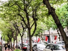 今日は　トルコの祝日～♪