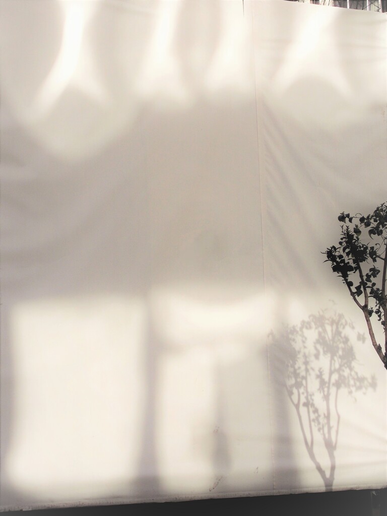 影法師～～　優しくゆらゆら～～