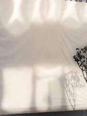 影法師～～　優しくゆらゆら～～