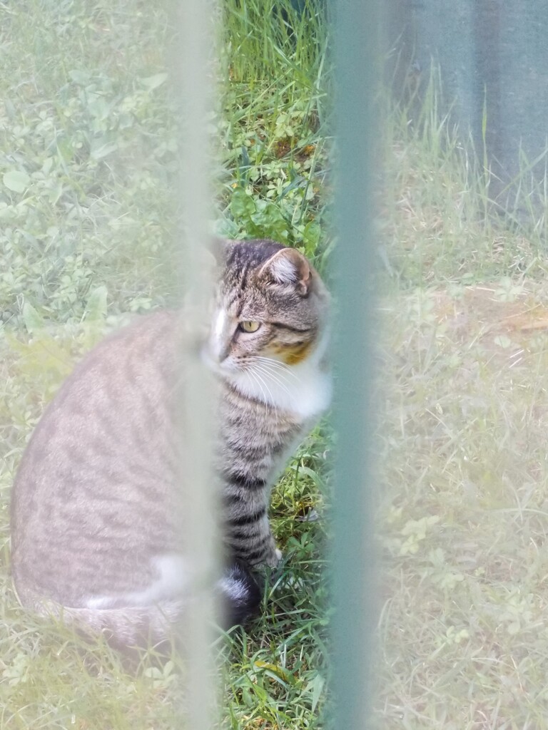 覗き撮り…